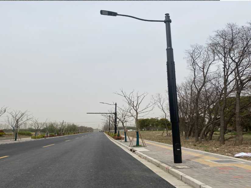 馆陶县上海综合杆 太阳能路灯工程